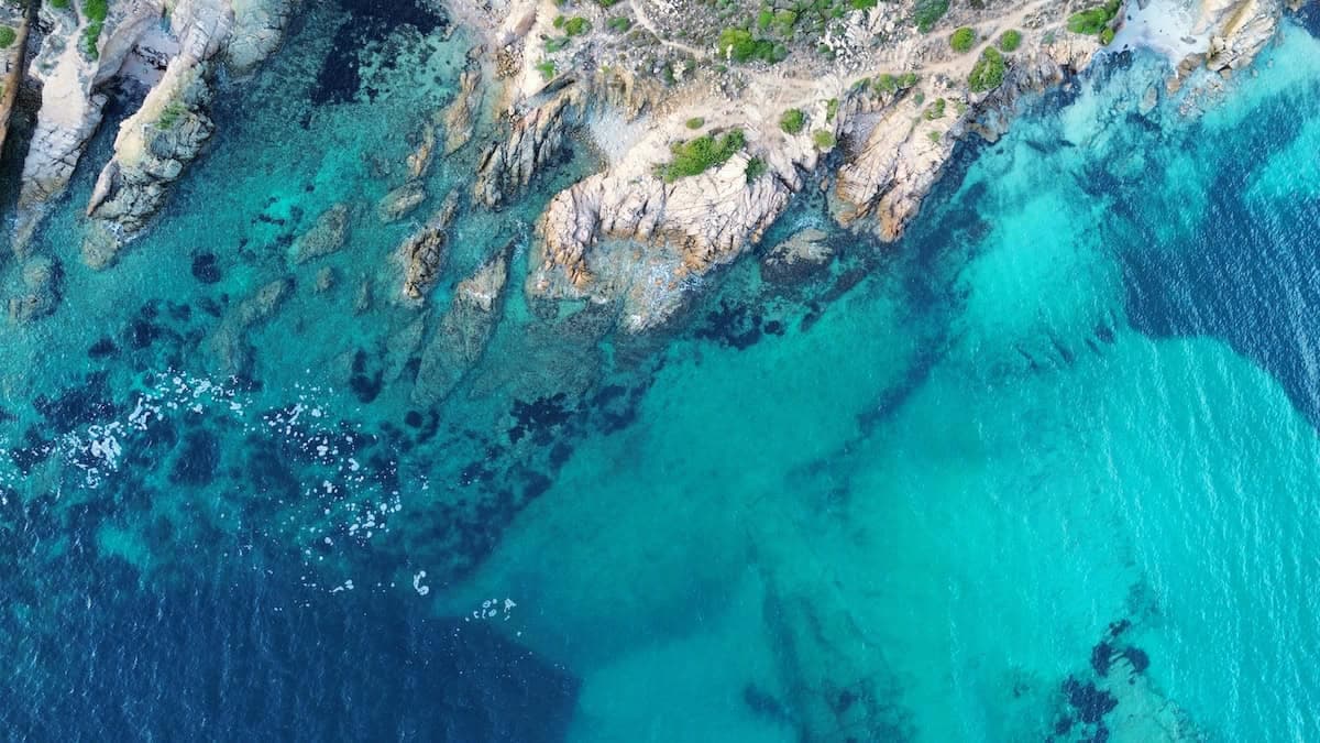 Greenland sheds new light on underwater carbon sink