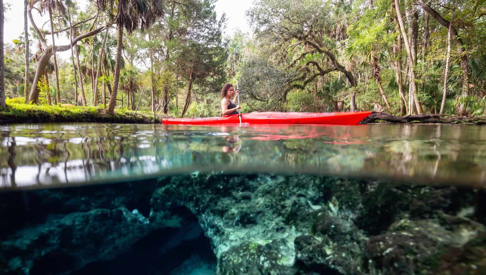 What went right this week: a ‘turning point’ for mangroves, plus more