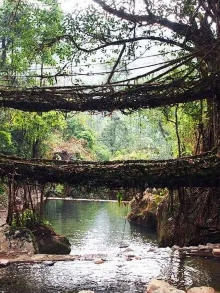 Why People Trek Hours Just to See This Rain-Soaked Meghalaya Village