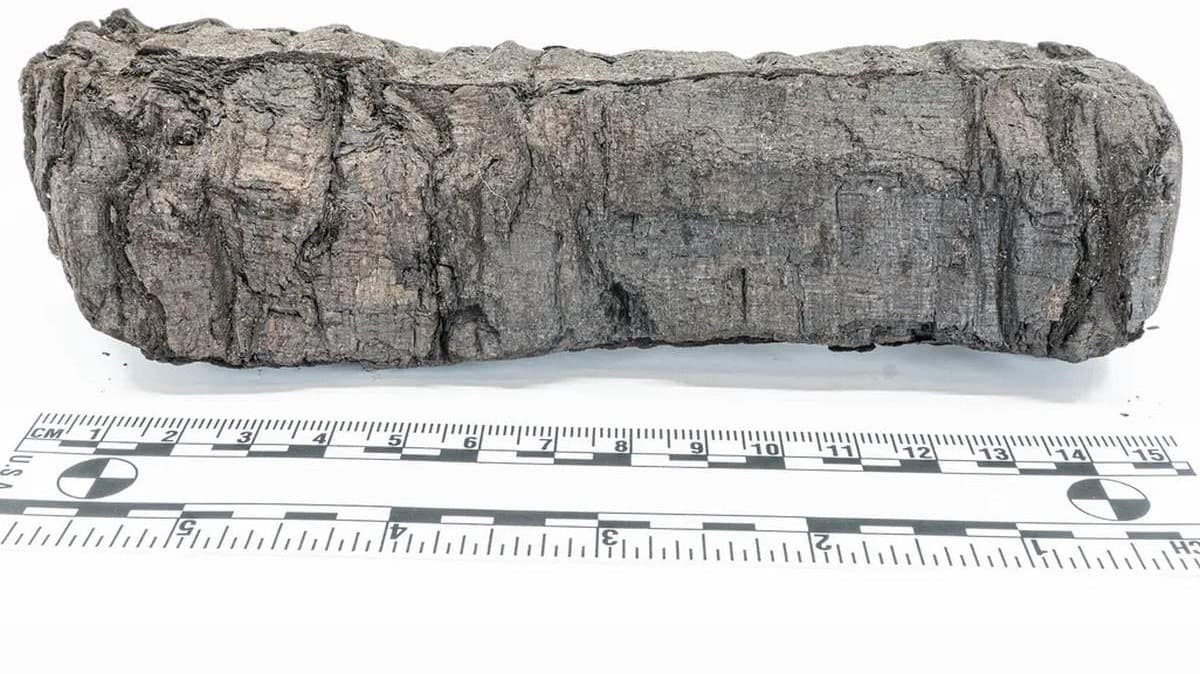 Yet More Scrolls Burned by Vesuvius Are Decoded by AI–Revealing Insights by Unknown Stoic Philosopher