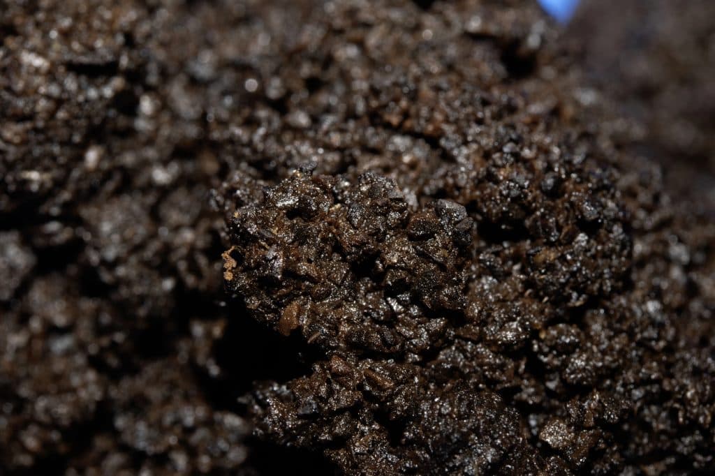 Wet coffee waste becomes coal-grade fuel in under two minutes